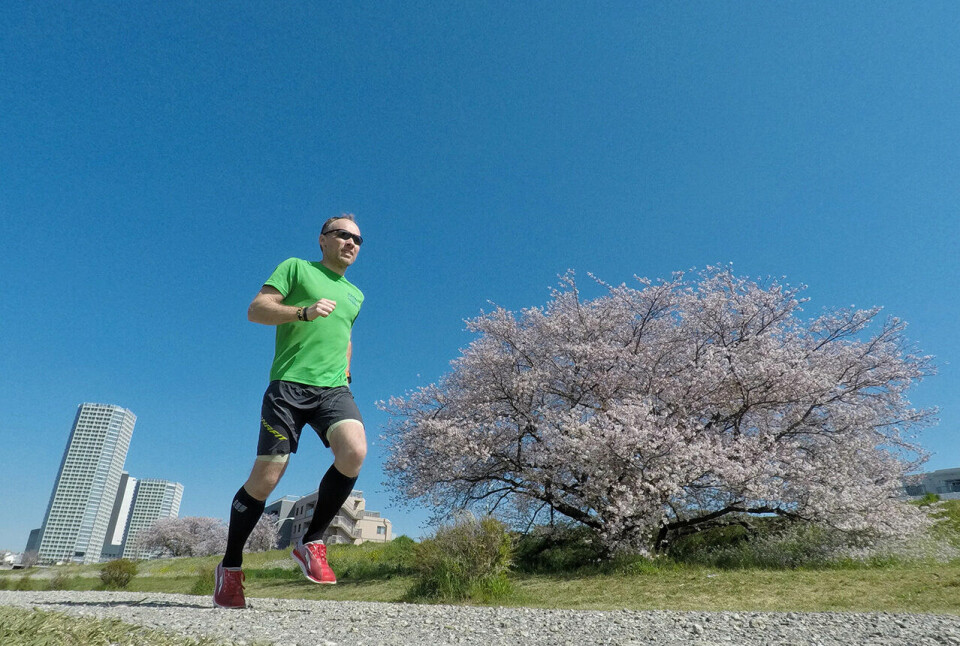 Artikkelforfatteren på løpetur i en av Tokyos mange parker mens kirsebærtrærne blomster. (Alle foto: Bjørn Johannessen) Artikkelforfatteren på løpetur i en av Tokyos mange parker mens kirsebærtrærne blomster. (Alle foto: Bjørn Johannessen)