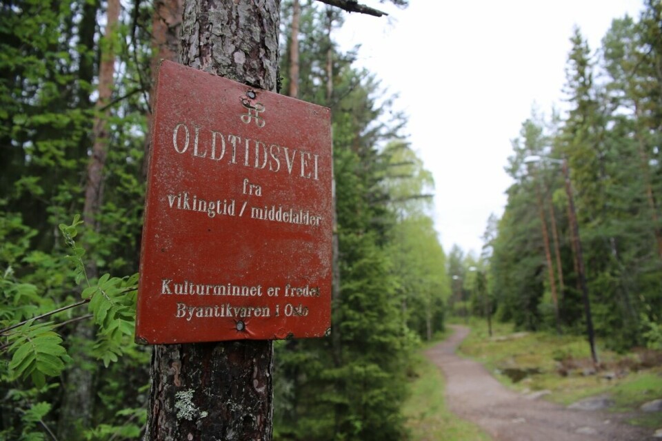 Bra start for Backyard Oslo Prinsdal D91A0030 (1280x853).jpg