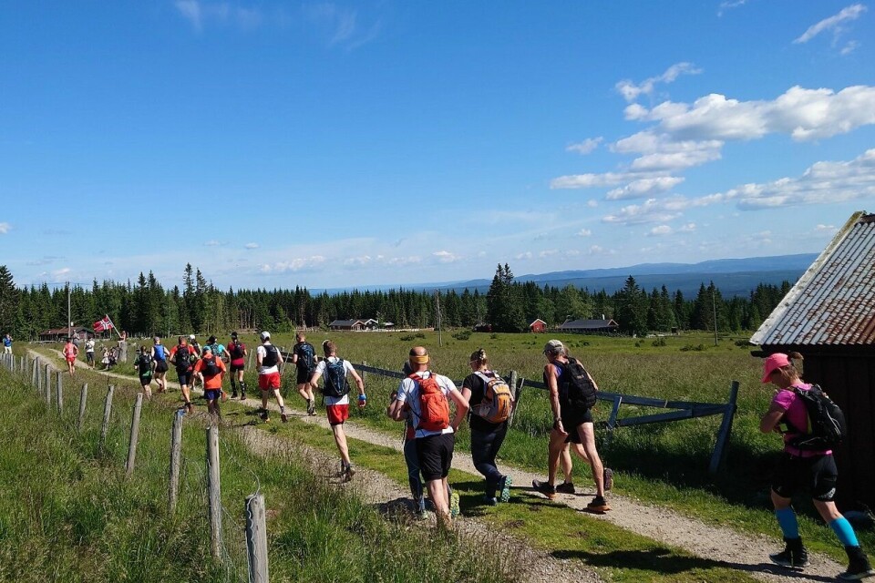 19 deltakere la av gårde til fots sørover Rondanestien. (Foto: Thomas Pedersen) 19 deltakere la av gårde til fots sørover Rondanestien. (Foto: Thomas Pedersen)