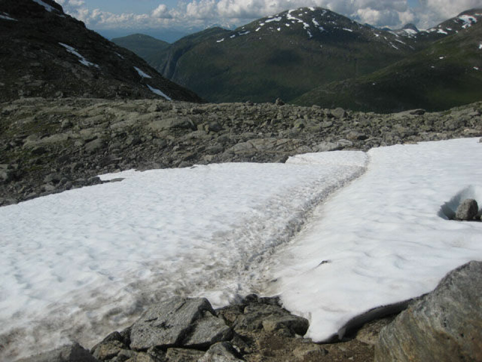Lite snø i Skåla Opp-løypa 640g_1stesno1100mohca10m