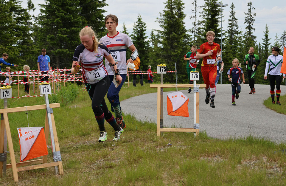 O-Festivalen: Hausken Nordberg og Ridefelt best på mellomdistansen OM02