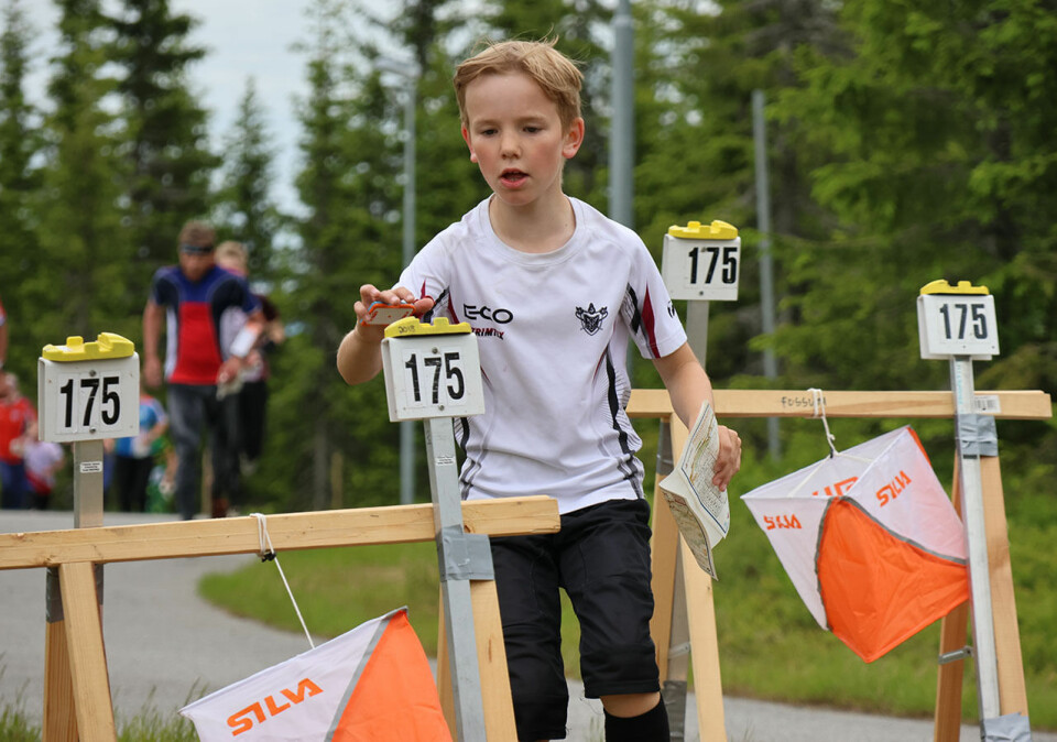 O-Festivalen: Hausken Nordberg og Ridefelt best på mellomdistansen OM01.jpg