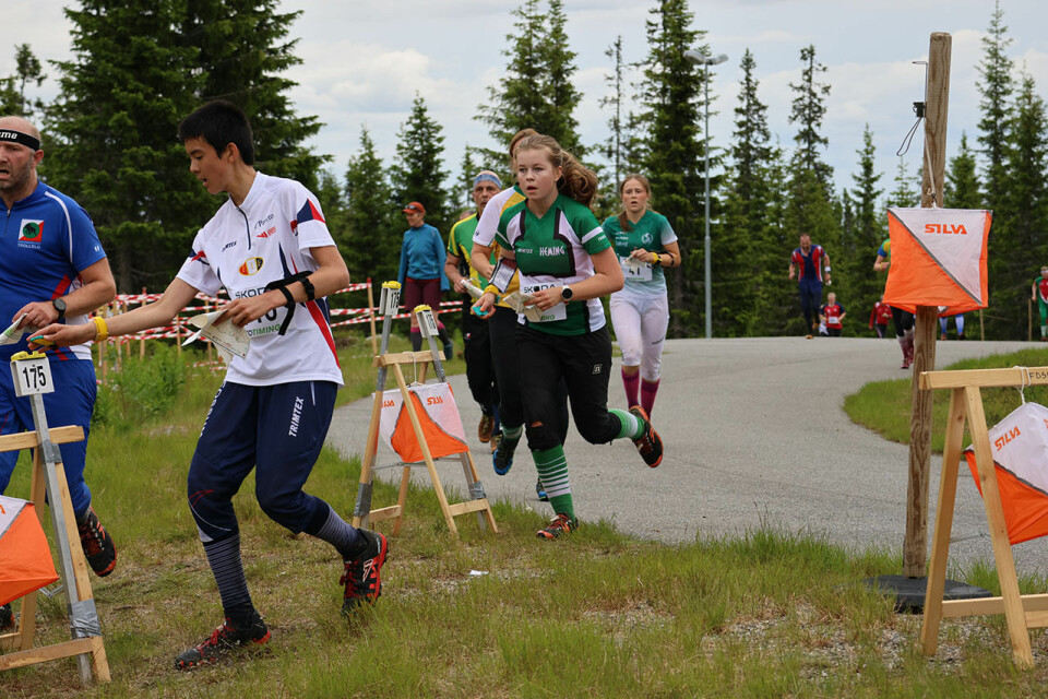 O-Festivalen: Hausken Nordberg og Ridefelt best på mellomdistansen OM03.jpg