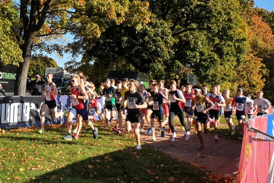 Starten på 4 km der 30 løpere kjempet om UM-plasseringer og medaljer i G 15, G 16 og G 17 år. (Foto: Runar Gilberg) Starten på 4 km der 30 løpere kjempet om UM-plasseringer og medaljer i G 15, G 16 og G 17 år. (Foto: Runar Gilberg)