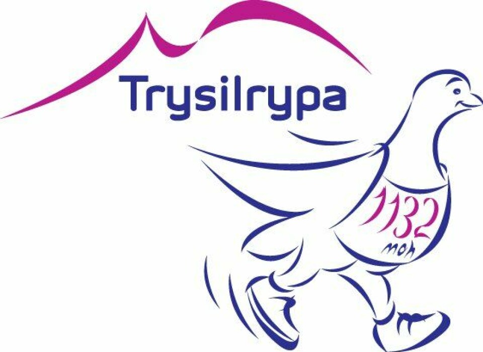 4513 ryper i Trysilfjellet Trysilrypa-logo_2013.jpg