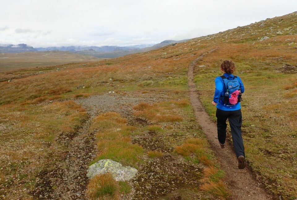 Bli med Kondis på treningsreise! Haugseter Fjellstue i Jotunheimen og området rundt