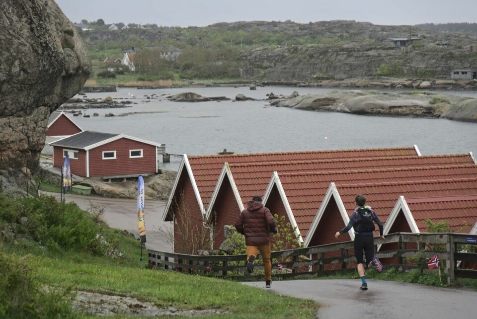 Raske løpstider i årets SMVE 100 miles i Covid-19 tilpasset løype Molly_mot_mÅL__foto-Audun-Nystad-Bugge.jpg