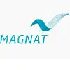 Magnat