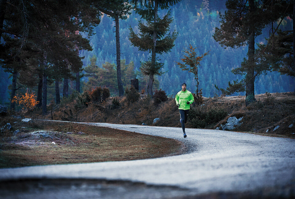 Löplabbet har testet ti skomodeller for asfaltløping og gir deg råd om hva du bør velge når du skal ha nye løpesko. (Foto: Asics) Löplabbet har testet ti skomodeller for asfaltløping og gir deg råd om hva du bør velge når du skal ha nye løpesko. (Foto: Asics)