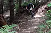 actionbilde_ingress