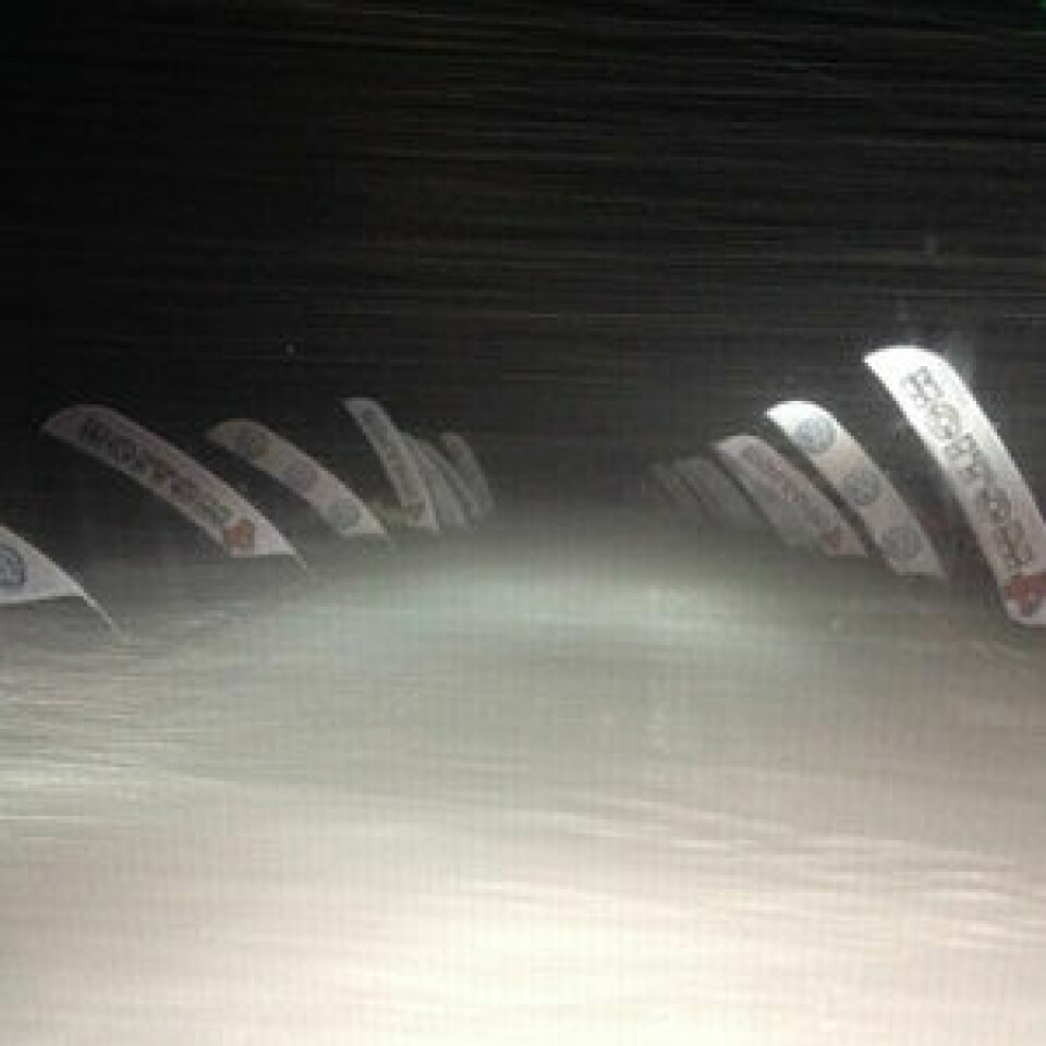 Birkebeinerrennet 2014 avlyst Avlyst_Arrangoren