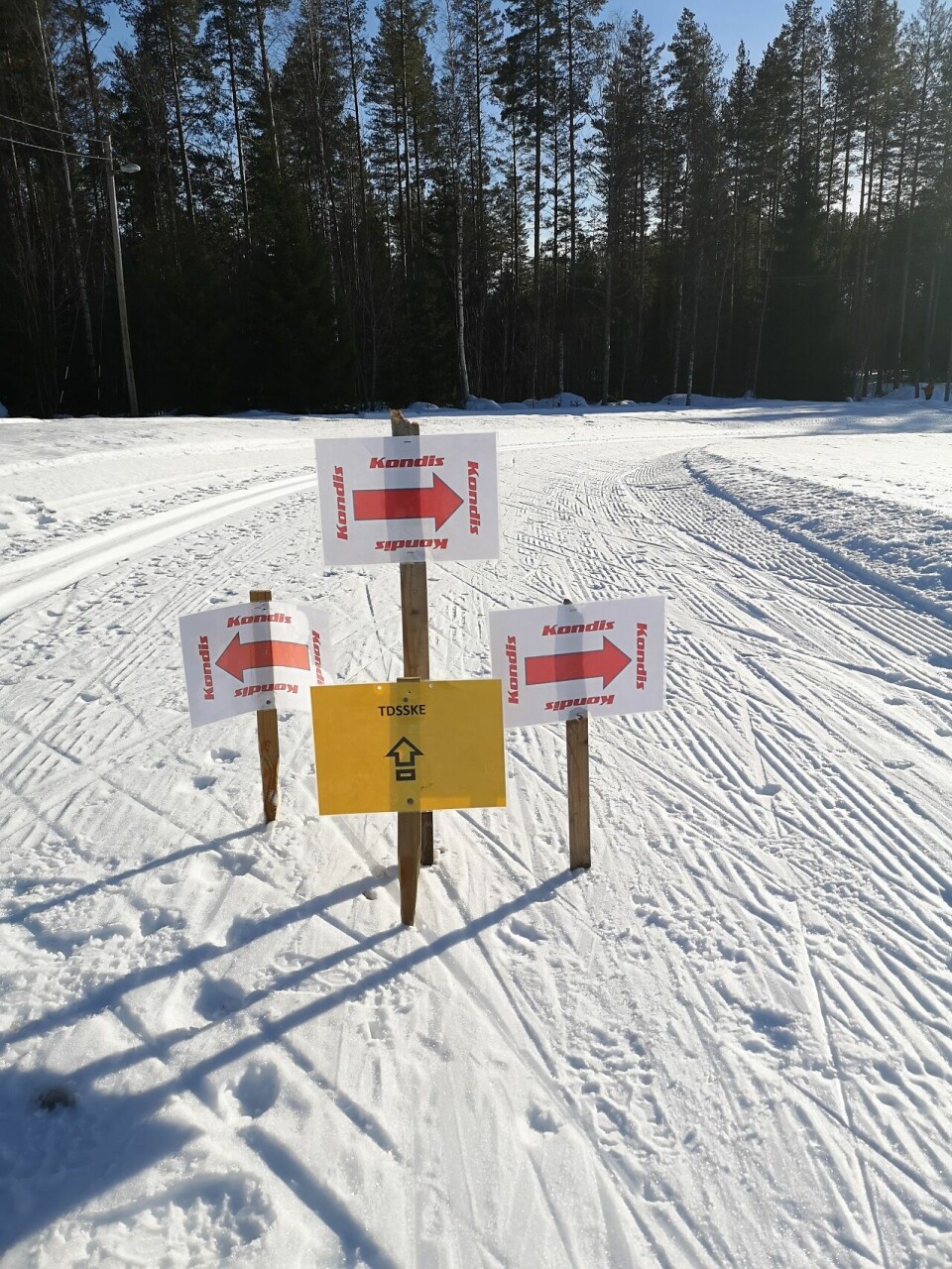 Tour de Ski engasjerer skimosjonistene i Elverum Skilting.jpg