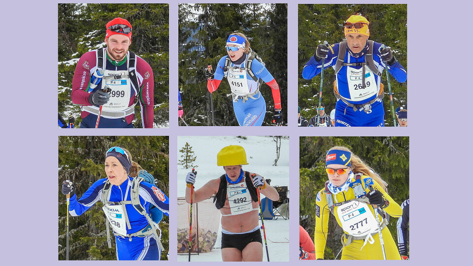SkiBirken 2025 i tall, ord og bilder Dette er noen som gikk i årets Birkebeinerrenn. (Alle foto: Stein Arne Negård)