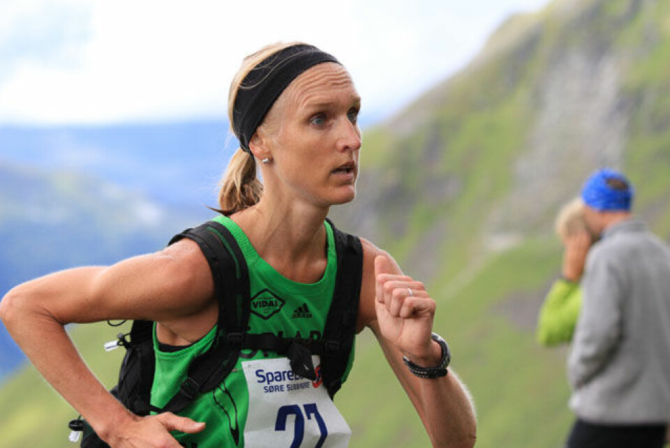 Parseier i Saudehornet rett opp