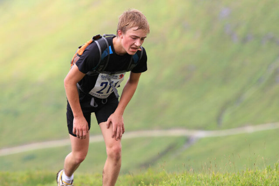 Parseier i Saudehornet rett opp