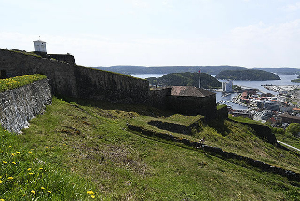 65 fullførte det spektakulære og utfordrende Grenseløpet 50D0276-1049.jpg