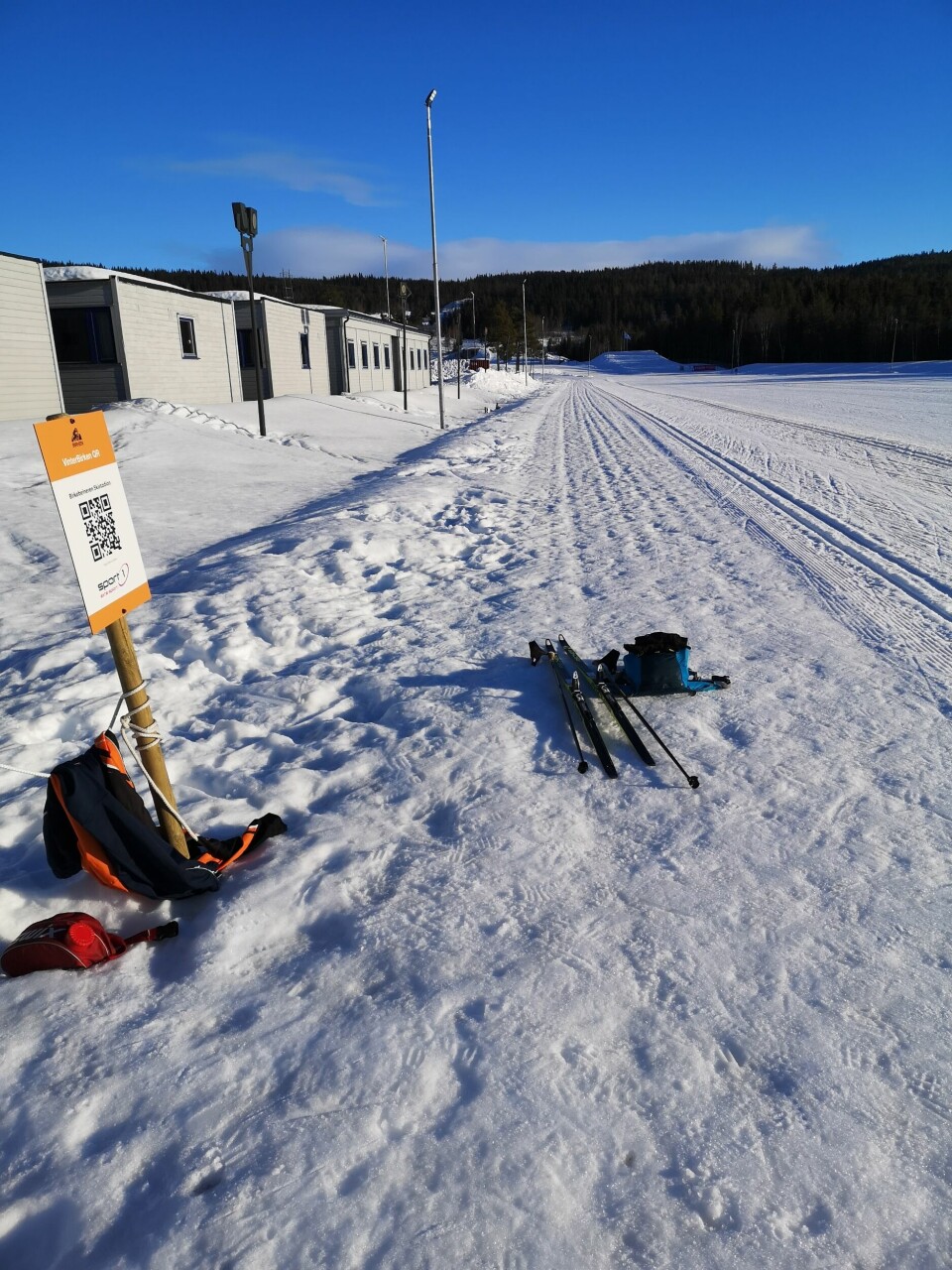 Birken - dobbelt opp 2xBirken-bilde2.jpg