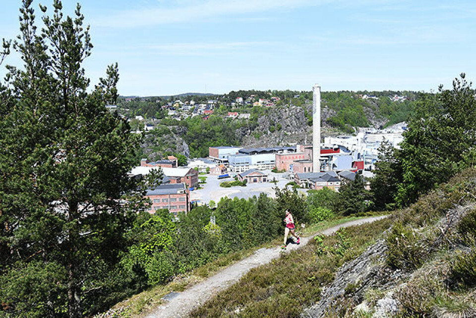 65 fullførte det spektakulære og utfordrende Grenseløpet 50D0531-1063.jpg
