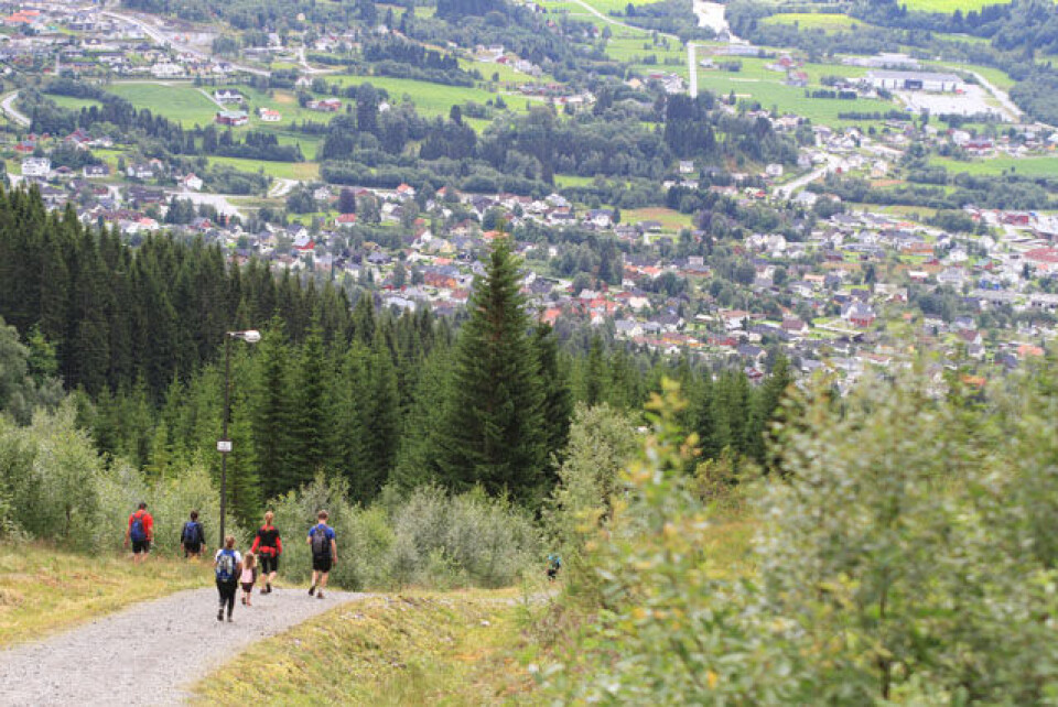 Parseier i Saudehornet rett opp