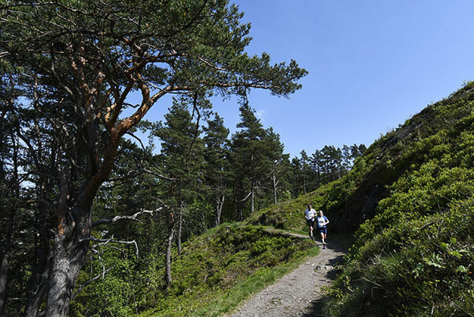 65 fullførte det spektakulære og utfordrende Grenseløpet 50D0765-1068.jpg
