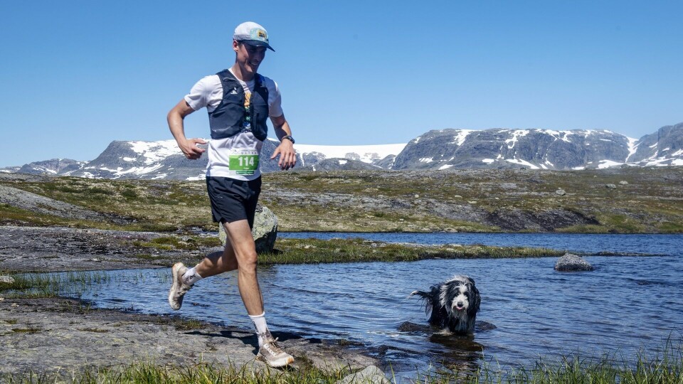 Leon Kjelland underveis på sin 34 km mens en firbeint tilskuer foretrekker en avkjøling i sommervarmen. (Foto: Kai-Otto Melau) Leon Kjelland underveis på sin 34 km mens en firbeint tilskuer foretrekker en avkjøling i sommervarmen. (Foto: Kai-Otto Melau)