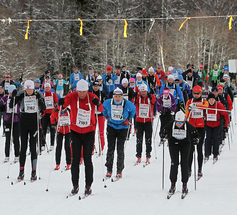 Holmenkollmarsjen: Golberg vant trimdistansen, løper vant 47 km Start_Soerkedalen_pulje8_A20G8505.jpg