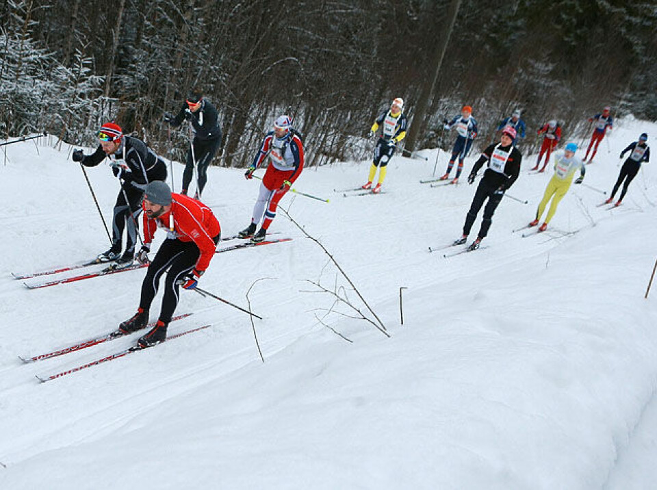 Holmenkollmarsjen: Golberg vant trimdistansen, løper vant 47 km Soerkedalen_etter_1km_ovenfra_AZ3T6133.jpg