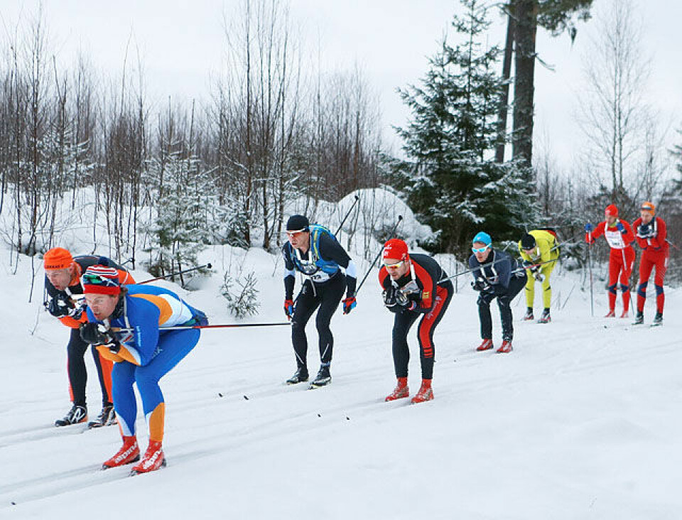 Holmenkollmarsjen: Golberg vant trimdistansen, løper vant 47 km Soerkedalen_etter_en_km_mange_AZ3T6046.jpg