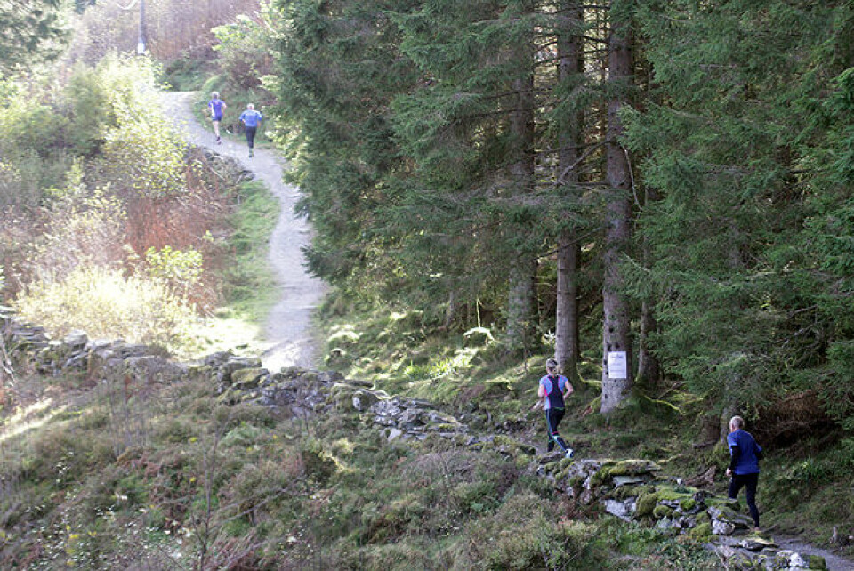 God stemning rundt Brakvatn på Osterøy i finværet IMG_5668.jpg