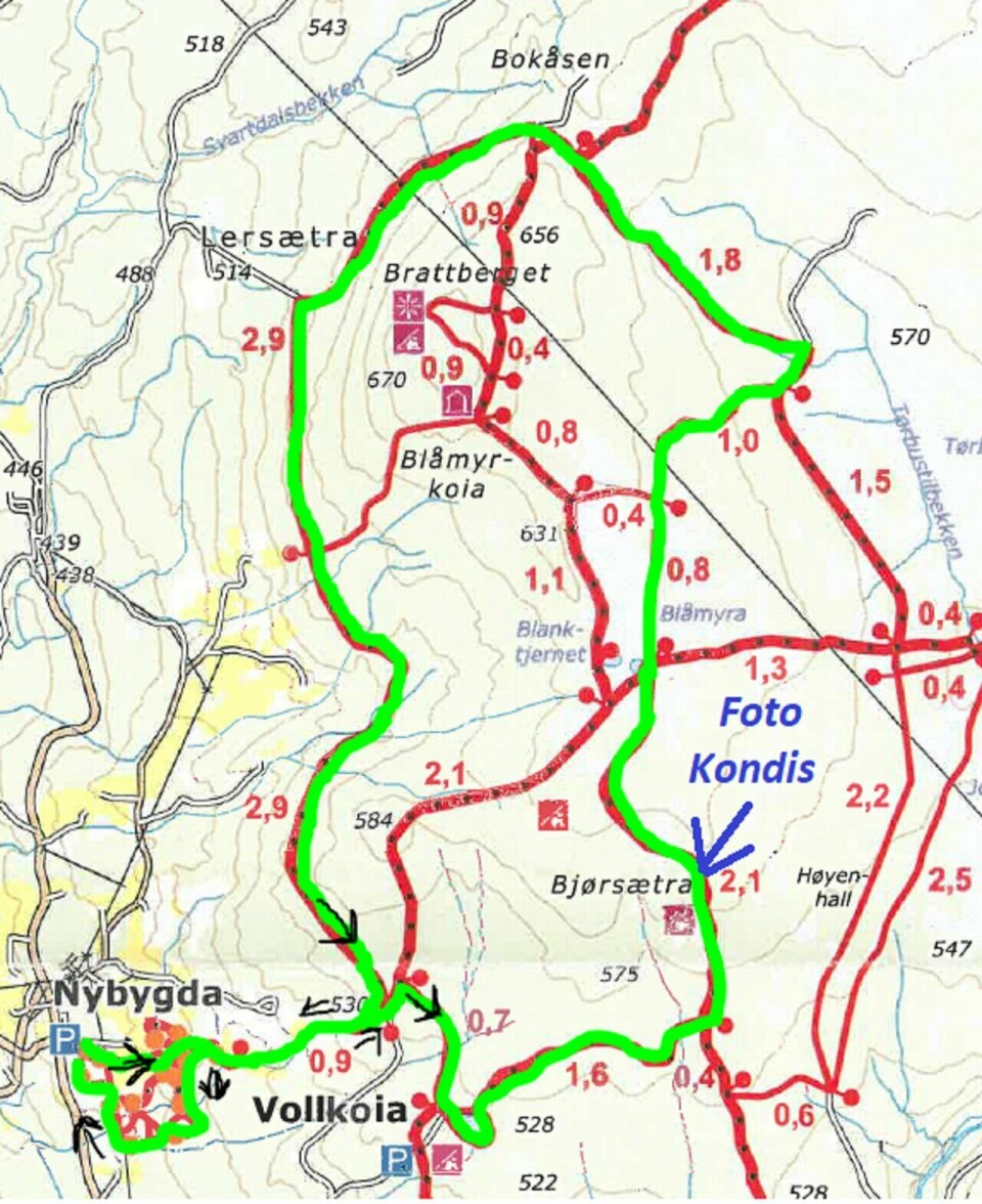 Bilder av alle løperne i Furnesåsen Rundt Furnesåsen Rundt 2023