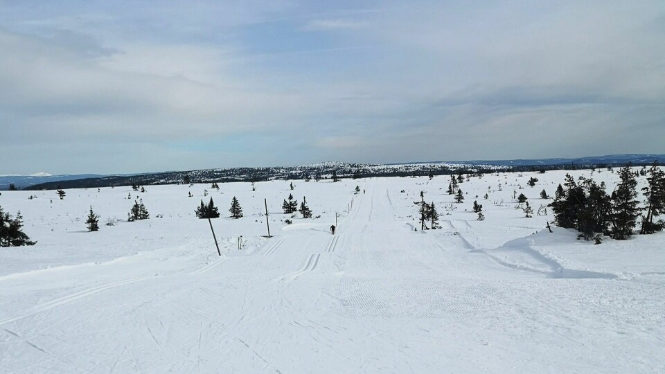 Kondis testet store deler av løypa under ypperlige forhold en uke før rennet. Her fra Raudfjellet lørdag 8. mars. (Foto: Rolf Bakken) Kondis testet store deler av løypa under ypperlige forhold en uke før rennet. Her fra Raudfjellet lørdag 8. mars. (Foto: Rolf Bakken)