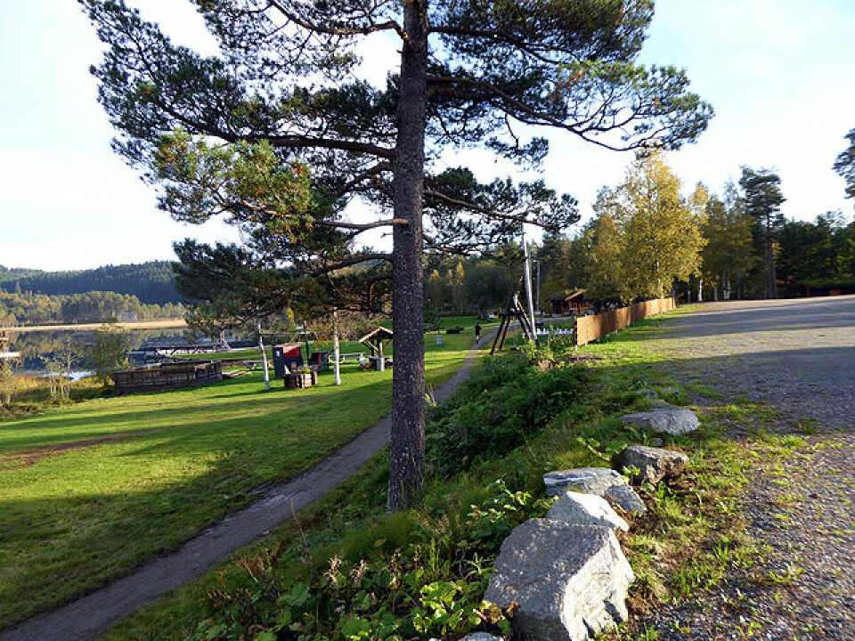 Senay Fissehatsion og Maria Sagnes Wågan norske mestre i terrengløp P1000919.jpg