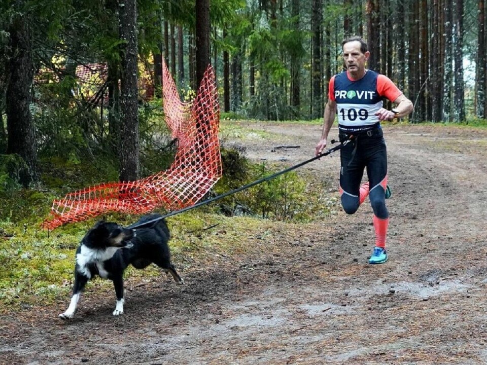 Terrengløping med hund - en sport i vekst Maze og Rolf.jpg