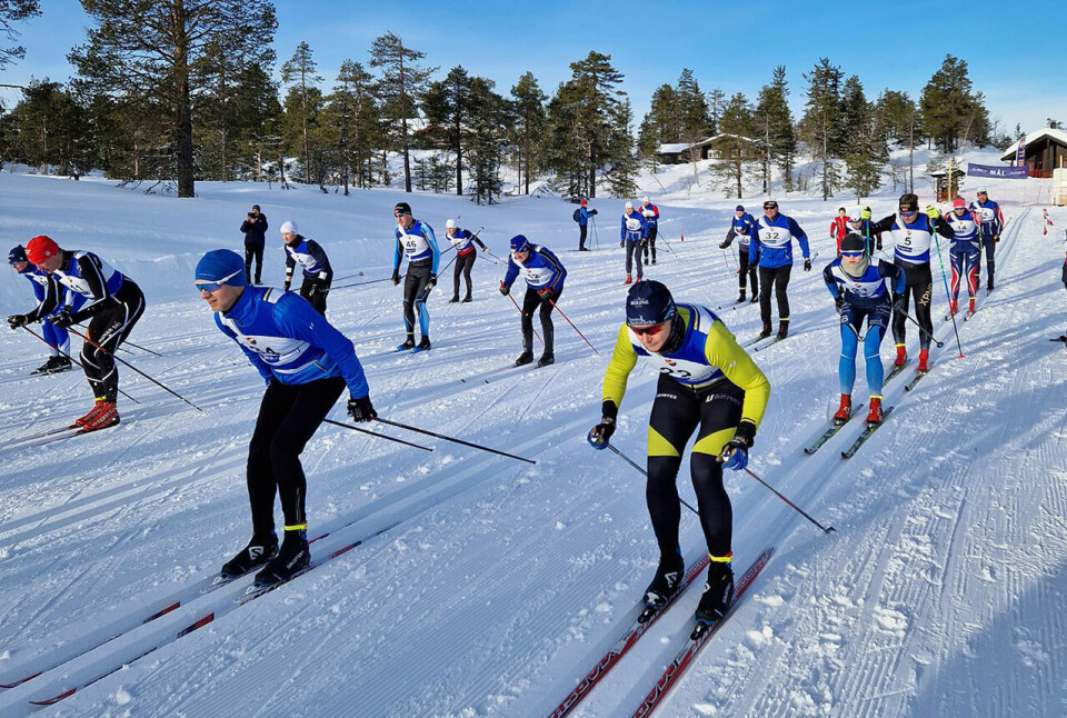 Det var totalt 59 fullførende deltakere i årets utgave av Vikerfjelløpet ved Hønefoss (Foto: Arrangøren) Det var totalt 59 fullførende deltakere i årets utgave av Vikerfjelløpet ved Hønefoss (Foto: Arrangøren)