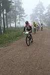 tetgruppen