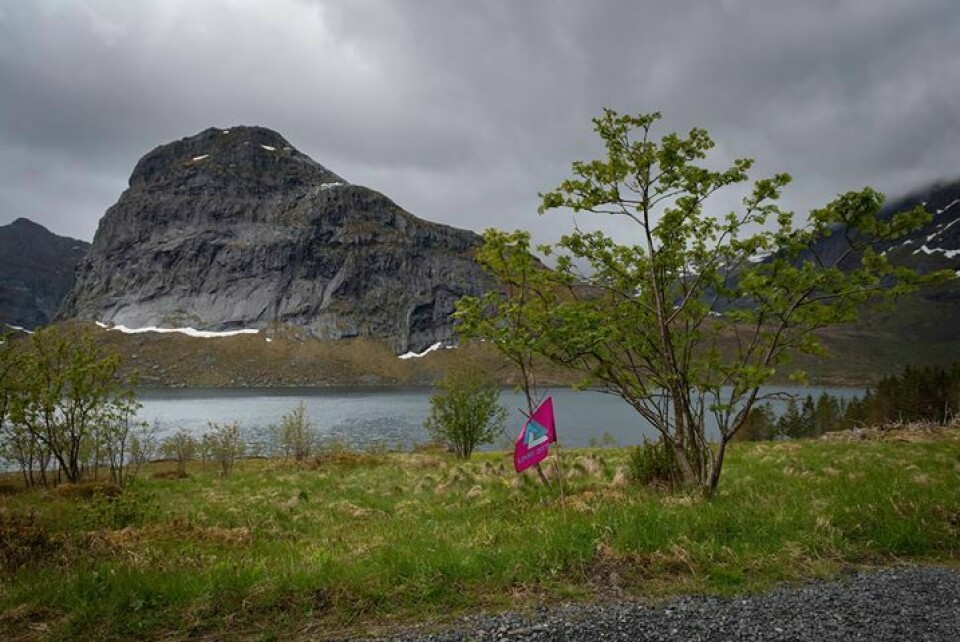 Bare 22 % av de startende fullførte Lofoten Ultra-Trail 100 miles Foto-Steven-Henriksen-1.jpg