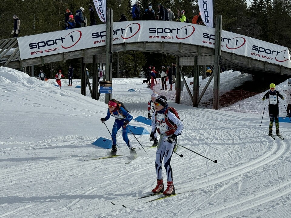 Noen av de yngste løperne i UngdomsBirken på vei under skibrua og inn på stadion 1 km før målgangen på Birkebeineren skistadion. (Foto: Finn Olsen) Noen av de yngste løperne i UngdomsBirken på vei under skibrua og inn på stadion 1 km før målgangen på Birkebeineren skistadion. (Foto: Finn Olsen)