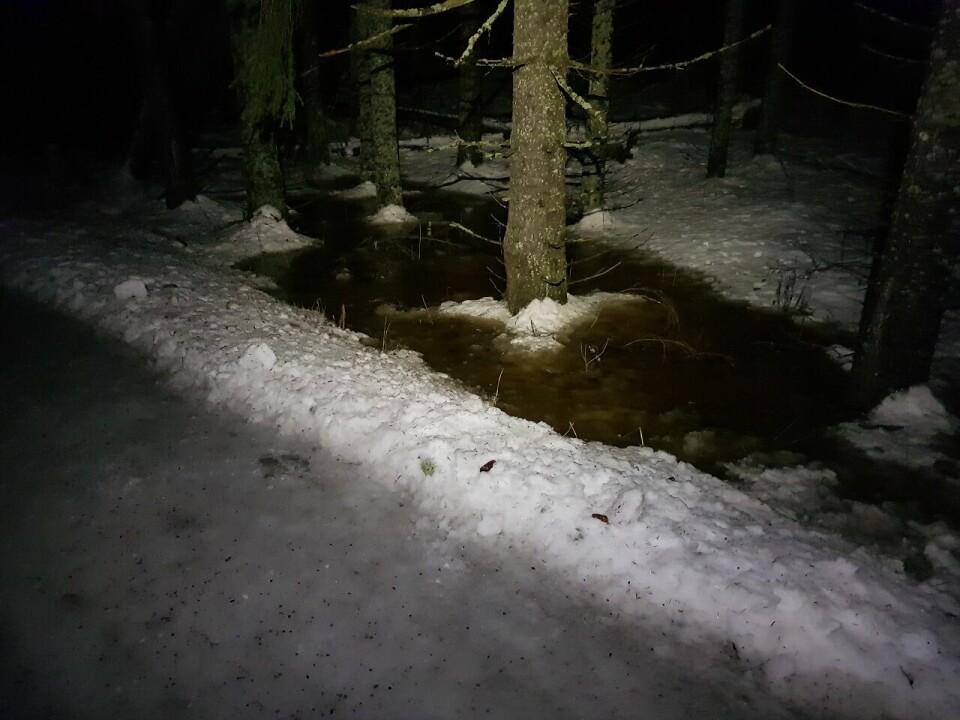 Snøkuten med 51 deltakere på isføre Vår i januar.jpg