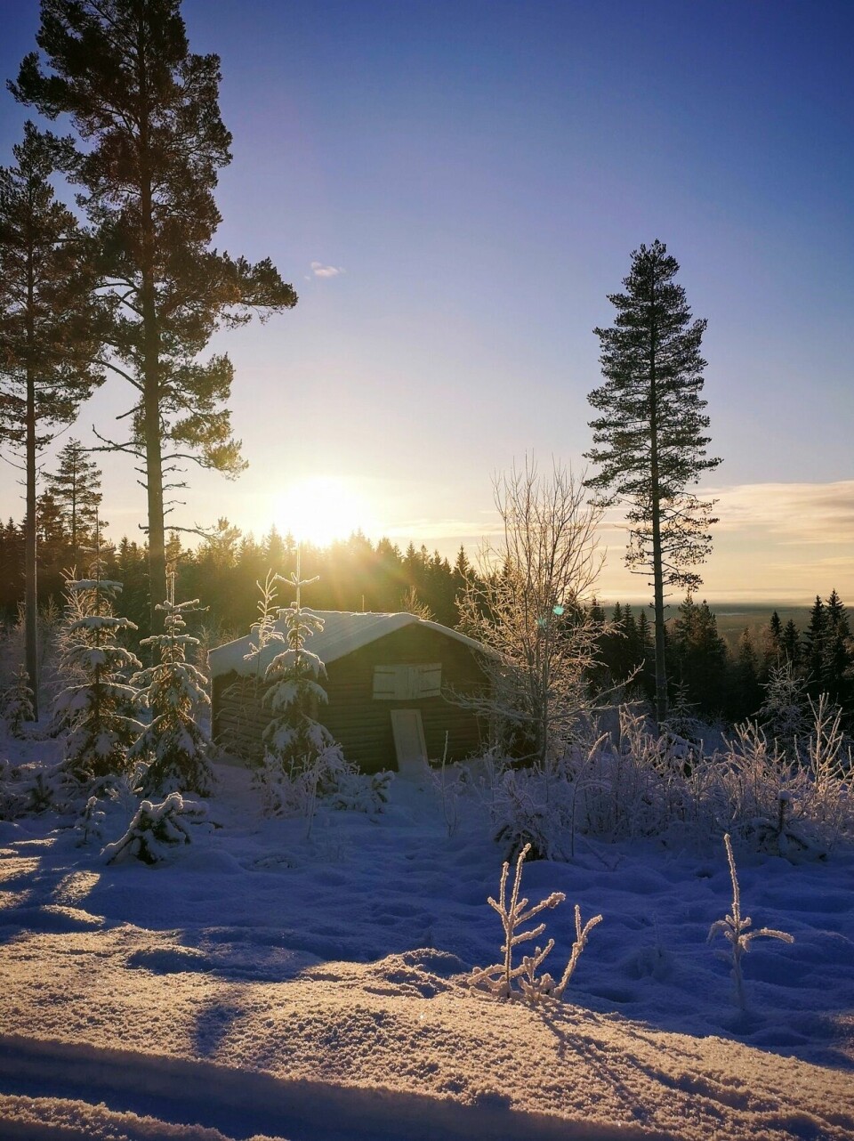 Adventskalendere - mest til glede og litt til besvær Dr¢mmetur i 15 minus.jpg