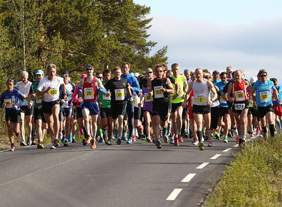 Alle tiders drømmeforhold for Det Norske Fjellmaraton 42km_start_A20G4145.jpg