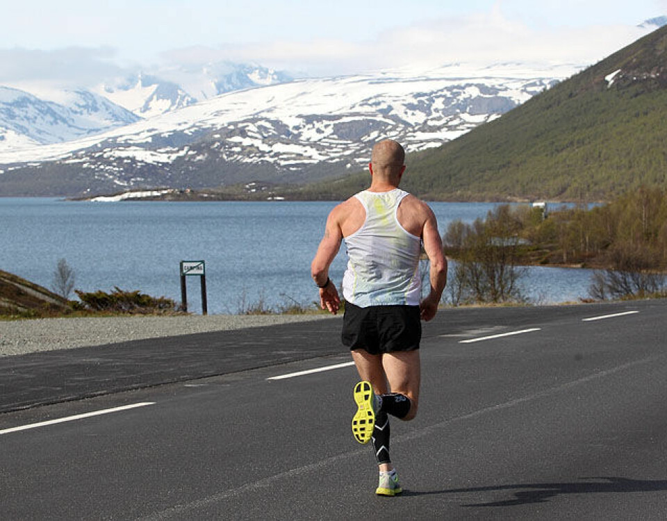 Alle tiders drømmeforhold for Det Norske Fjellmaraton Paul_Raistrick_vinner_3km_Sjoadalsvatnet_A20G4245.jpg