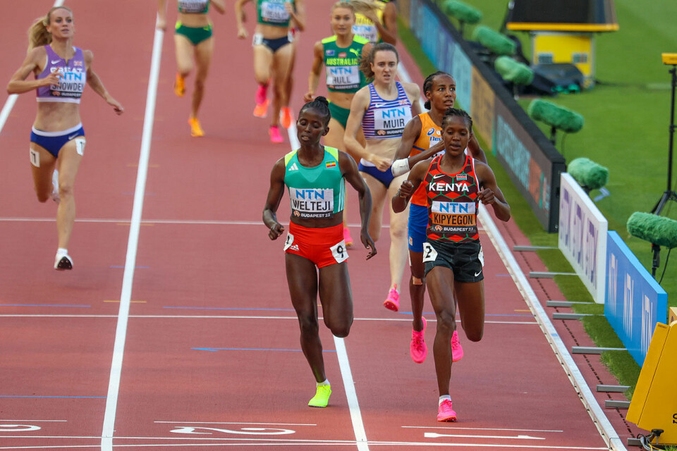 De største 1500 m-stjernene sikra seg plass til tirsdagens finaleløp. (Alle foto: Arne Dag Myking) De største 1500 m-stjernene sikra seg plass til tirsdagens finaleløp. (Alle foto: Arne Dag Myking)