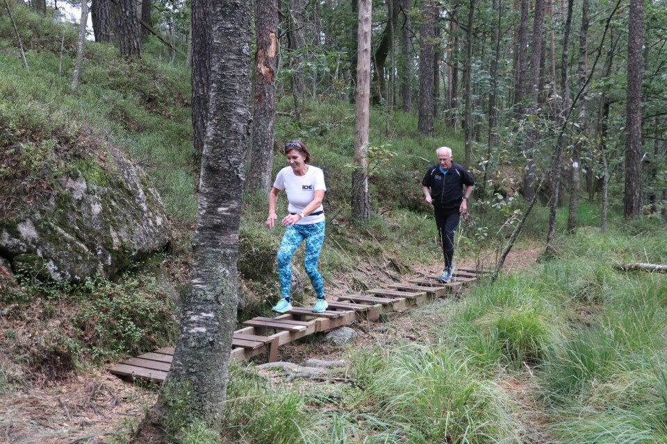 Supre løyper for alle de 1119 deltakerne i Huntonit-/Elkem-løpet («Tullas løype») Plankesti.jpg
