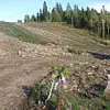 3_640_Etter250mtilhoyre_fotoChrPrestegaard