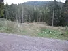 13_640_Krysserettovergrusvegen_FotoChrPrestegaard