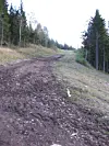 16_640_Rettframslaktopp_ca700migjen