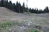 17_640_Flattpartirundt_hoyresidenavmasten