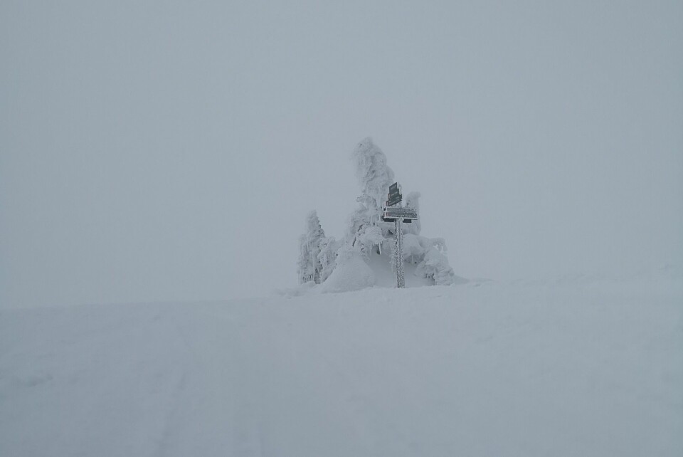 Det var helhvitt men helt stille da Kondis inspiserte forholdene på Raudfjellet mandag. På lørdag er det meldt både snø og kraftig vind. (Foto: Rolf Bakken) Det var helhvitt men helt stille da Kondis inspiserte forholdene på Raudfjellet mandag. På lørdag er det meldt både snø og kraftig vind. (Foto: Rolf Bakken)
