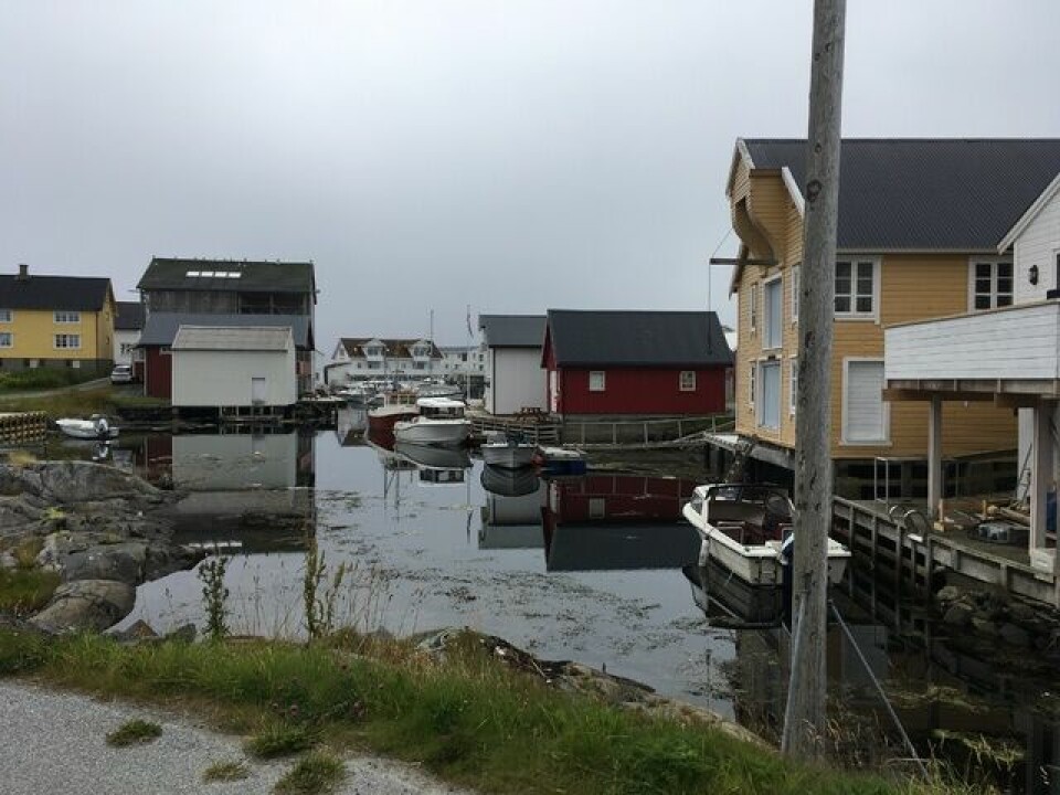 Smøla halvmaraton på sitt beste blei avviklet lørdag Naust