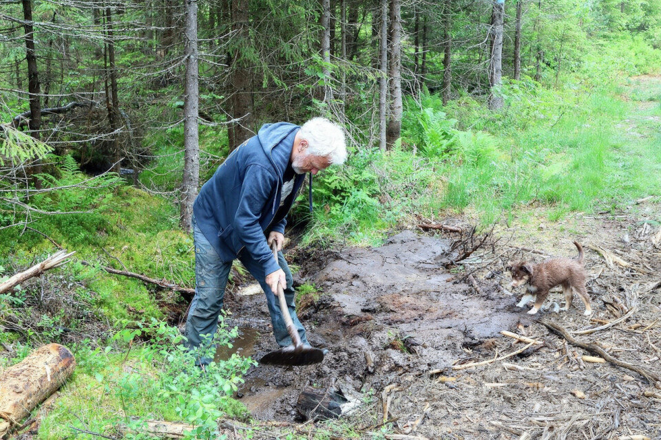 Oppgradering av Holmenkollmarsjens løype morten-i-svingfoto-christine-amdam-2.jpg